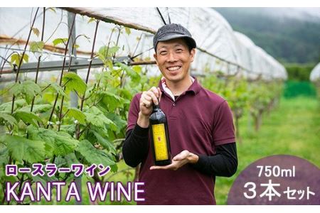 ロースラー ワイン KANTA WINE  2022（赤）750ml×3本セット 【968】