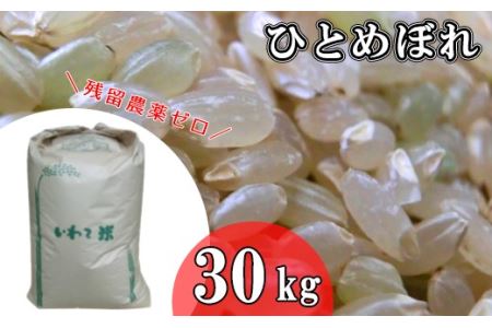 2023年産 玄米ひとめぼれ 「残留農薬０の米」 紙袋詰め30kg 【1004】