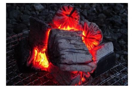 【火つき・火力・火持ちよしの国産高級木炭】岩手切炭（ＧＩ）3ｋｇ　なら堅一級