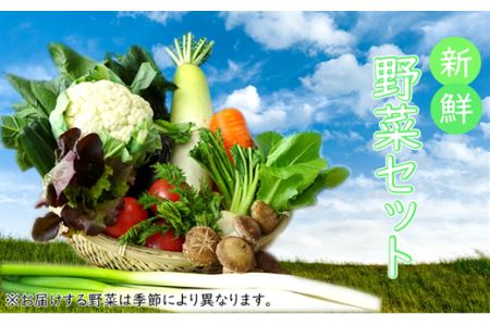 【安全・安心・産直直送！】季節の野菜詰め合わせ（おまかせセット）