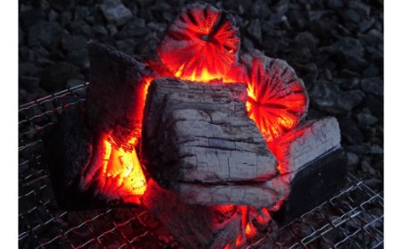 【火つき・火力・火持ちよしの国産高級木炭】岩手切炭（ＧＩ）6ｋｇ×2個　なら堅一級
