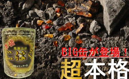 【自宅で琥珀の採掘体験！？】超本格「琥珀BIG缶詰」採掘体験缶セット