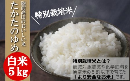 【特別栽培米】(令和5年産)たかたのゆめ白米５kg