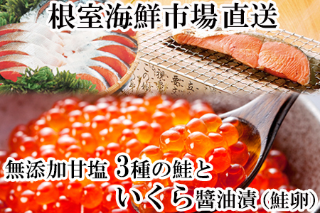 無添加天然甘塩鮭3種各5切、いくら醤油漬け(鮭卵)70g×2P A-14096