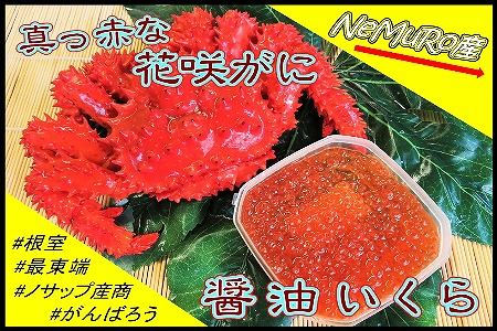 【北海道根室産】花咲がに、醤油イクラセット C-59020