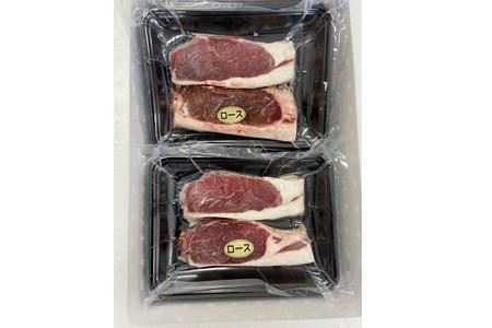 【北海道根室産】鹿肉ロースステーキ2切×5P B-77008