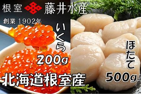 【北海道根室産】いくら醤油漬け200g、お刺身帆立貝柱500g B-42077