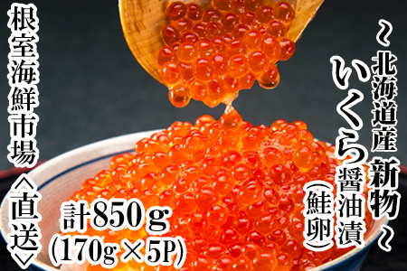 いくら醤油漬け(秋鮭卵)(新物)170g×5P(計850g) C-28022