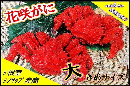 【北海道根室産】花咲がに2尾(計1.3kg) F-59005
