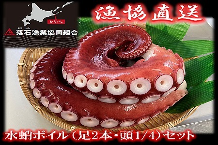 【北海道根室産】水蛸ボイルセット(足、頭) B-20002