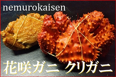【北海道根室産】花咲ガニとクリガニの食べ比べセット A-57054