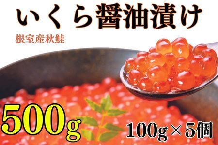 【北海道根室産】いくら醤油漬け100g×5P B-83004