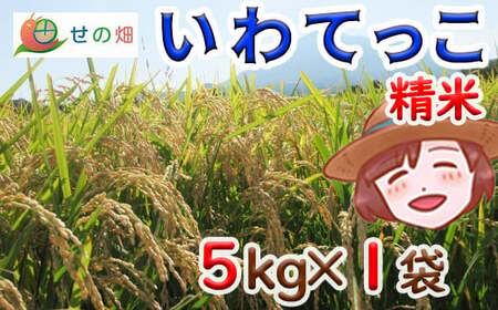 いわてっこ 精米5kg×1袋【せの畑】 ／ 米 白米 産地直送 農家直送