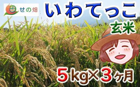 いわてっこ 玄米5kg×3ヶ月定期便【せの畑】 ／ 米 産地直送 農家直送 定期