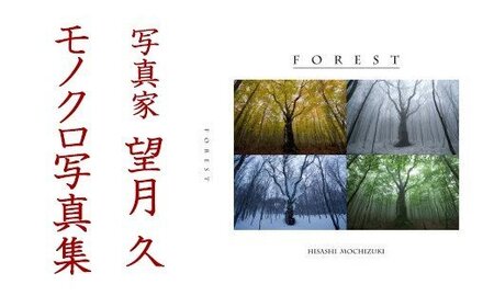 写真家 望月久 モノクロ写真集「FOREST」～安比高原・八幡平～ ／ 写真 写真集 作品集 風景 自然