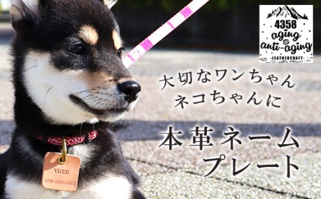本革 ペット用ネームプレート【ナチュラル】 ／ 犬 猫 ペット 迷子札 4358