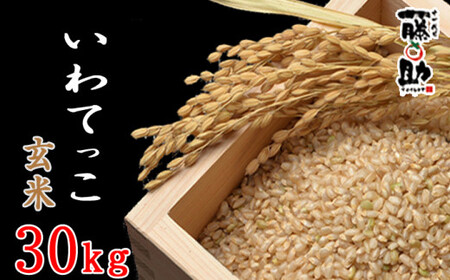【八幡平市産】 いわてっこ 玄米 30kg ／  十一代目藤助 米 産地直送 農家直送