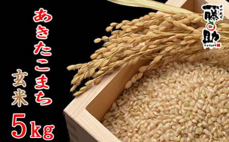 【八幡平市産】 あきたこまち 玄米 5kg ／  十一代目藤助 米 産地直送 農家直送