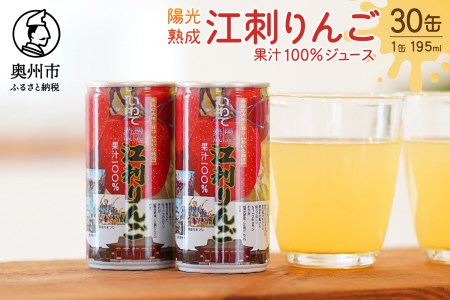陽光熟成江刺りんごジュース(195ml×30缶) 江刺産サンふじ使用 ストレート果汁100％[A0048]
