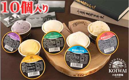 小岩井農場 アイスクリーム 10個セット ／ 5種類 食べ比べ アイス ギフト 贈答用