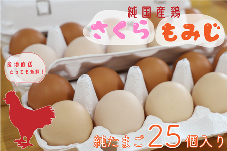 AJ013-1　純国産鶏【さくらともみじ】純たまご25個