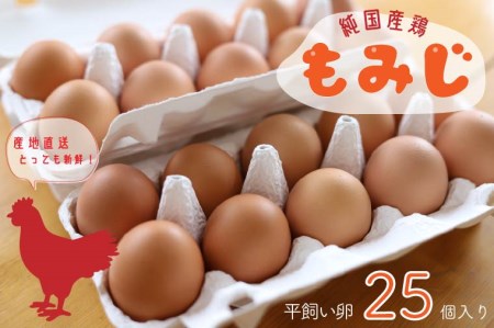 AJ005-1 【純国産鶏もみじ】平飼い卵25個入り