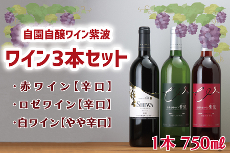 AL039-1　ワイン3本セット【自園自醸ワイン紫波】