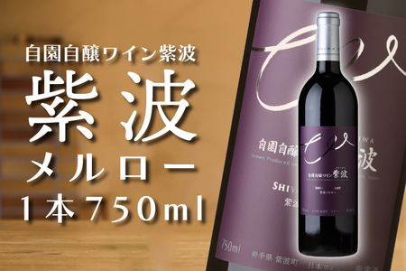 AL047-1　紫波メルロー【自園自醸ワイン紫波】