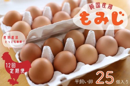 AJ008 【純国産鶏もみじ】平飼い卵25個入り【12ヶ月連続お届け】