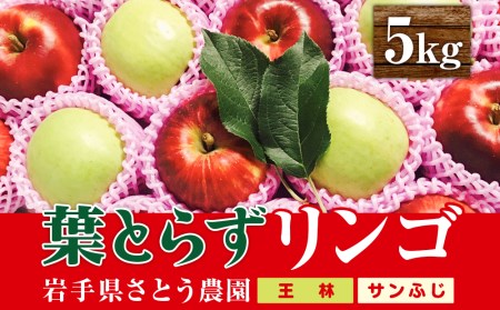 佐藤農園の葉とらずリンゴ　ミックス（王林/サンふじ）　5kg