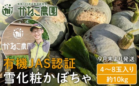 【9月末より発送】有機JAS認証！雪化粧かぼちゃ ４～８玉入り（約10kg）【かねこ農園】