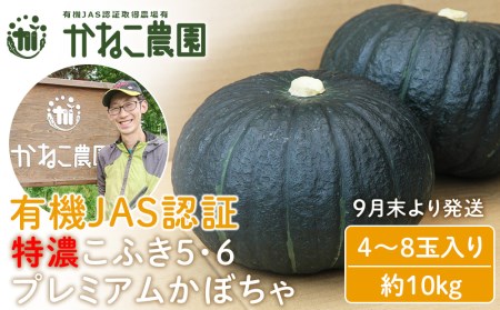 【9月末より発送】有機JAS認証！特濃こふき5・6プレミアムかぼちゃ ４～8玉入り(約10kg)【かねこ農園】