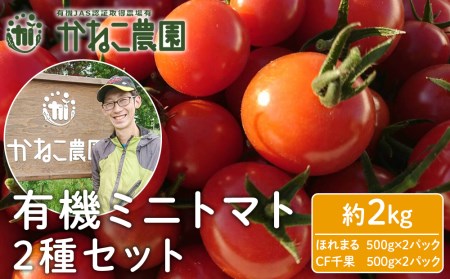 【2024年7月下旬より発送】有機ミニトマト2種セット(2kg)【かねこ農園】