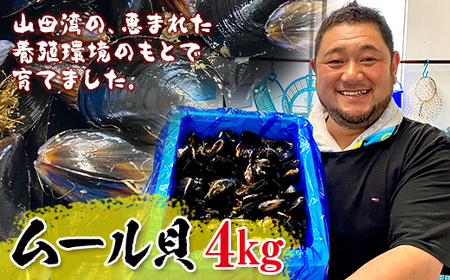 明神丸かき・ほたてきちのムール貝 4kg YD-234