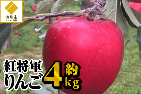 【令和6年出荷受付】紅将軍りんご　約4kg