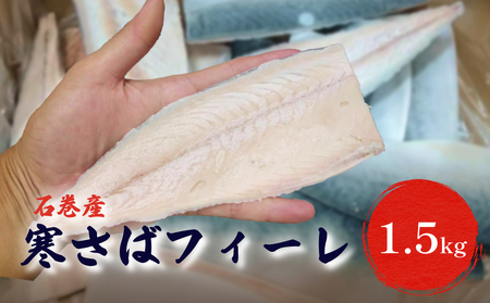 〈 訳あり 〉石巻産 寒さばフィーレ 無塩 さば フィレ 1.5kg 鯖 切身 焼魚 魚 さば 宮城県