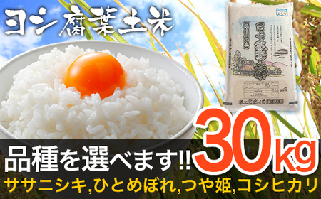 令和4年産 ヨシ腐葉土米 特別栽培米 ササニシキ 精米30kg（10kg×3袋）