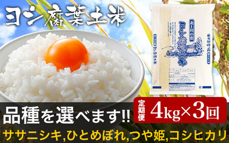 令和5年産＜定期便＞ヨシ腐葉土米 精米12kg（4kg×3回発送）ササニシキ