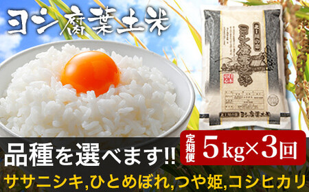 令和5年産＜定期便＞ヨシ腐葉土米 精米15kg（5kg×3回発送）ササニシキ