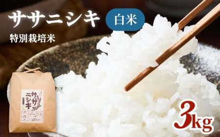 令和5年産 特別栽培米 ササニシキ 白米 3kg