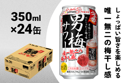 サッポロ 男梅サワー 350ml缶×24缶(1ケース) サッポロ 缶 チューハイ 酎ハイ サワー