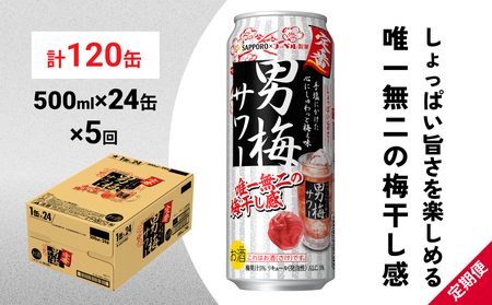 サッポロ 男梅 サワー 500ml×24缶(1ケース)×定期便5回(合計120缶)  缶 チューハイ 酎ハイ サワー