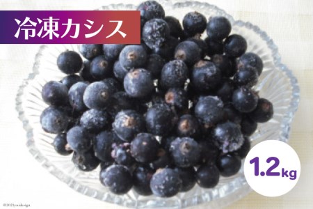 【先行受付】冷凍 カシス 1.2kg [ノーザン・ベリーズ 北海道 砂川市 12260393] 果物 フルーツ 国産