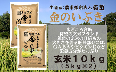 金のいぶき　玄米10kg（5kg×2）