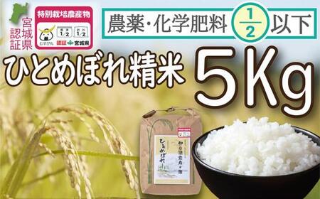 【令和5年度産】農薬・化学肥料節減米ひとめぼれ 精米5kg