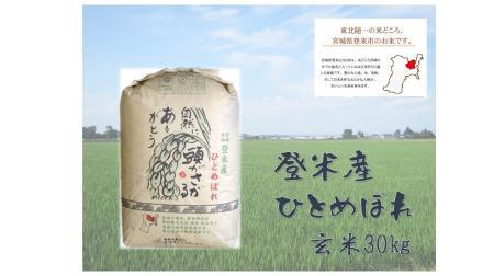 【令和5年産】米 玄米 ひとめぼれ 宮城県 登米市産 30kg
