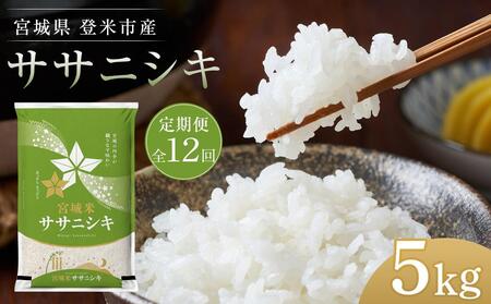 【定期便／全12回】宮城県登米市産ササニシキ精米５kg