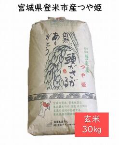 【定期便／全6回】宮城県登米市産つや姫玄米30kg