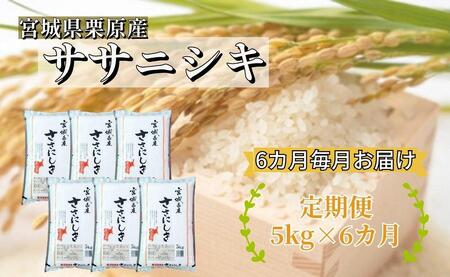 【6ヶ月定期便】宮城県栗原産 ササニシキ 毎月5kg (5kg×1袋)×6ヶ月