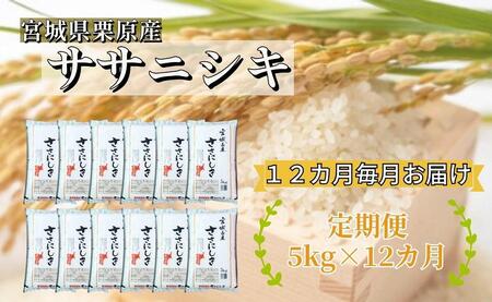 【12ヶ月定期便】宮城県栗原産 ササニシキ 毎月5kg (5kg×1袋)×12ヶ月